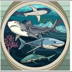 Meet your Posher, Robin